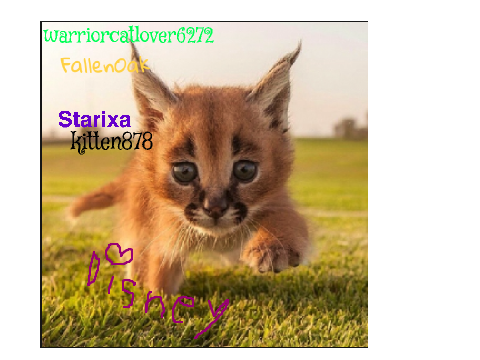 Sign here if you're against Caracal hunting! remix remix remix remix remix
