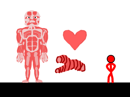 Skeletal System and Muscular System