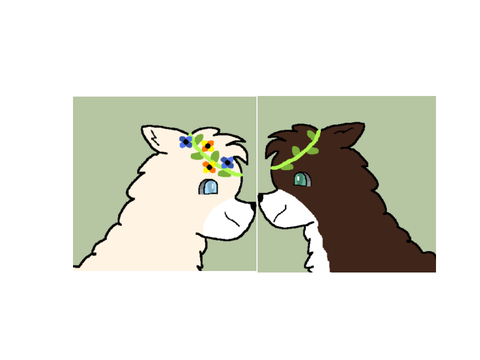 Flollow PFP’s 