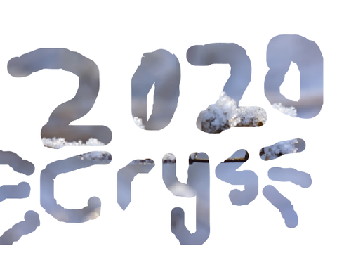 Vote crys 2020