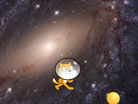 Kosmo kotek