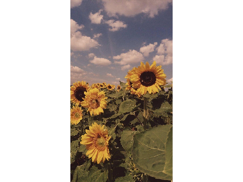Untitled-12