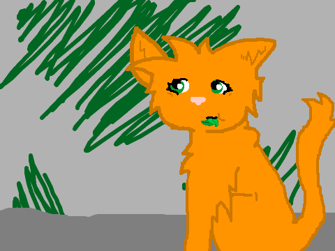 Kitting - Medicine Cat Educational Animation