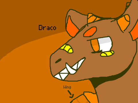    ˙ºDTAº˙