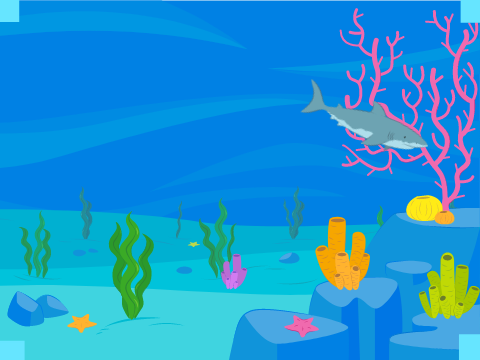 Will the Shark hit the corner?