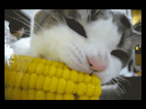 I really like corn! remix