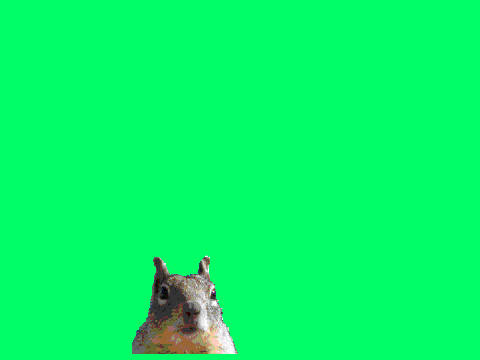 sqriell_game