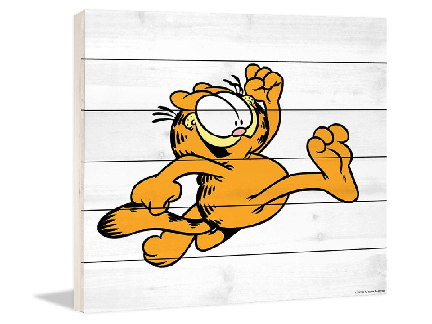 Scratch Cat? What happened