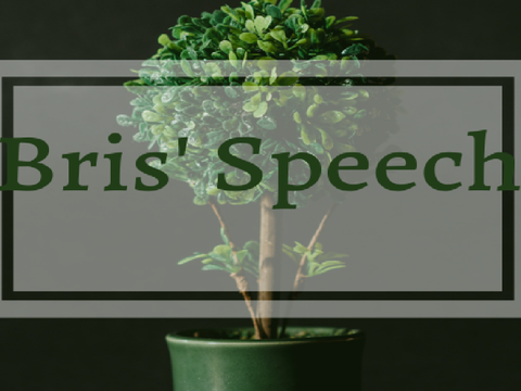 -Speech- 
