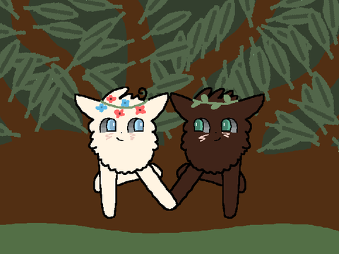 Random Flollow Drawing