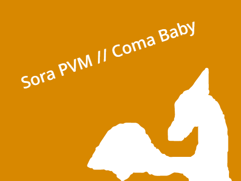 || Sora PVM // Coma Baby ||