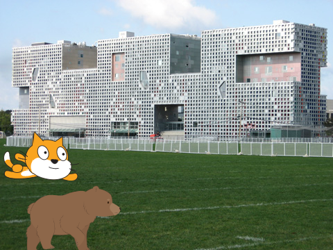 CAT AND BEAR!!!!!!!!!!!!!!!!!!!
