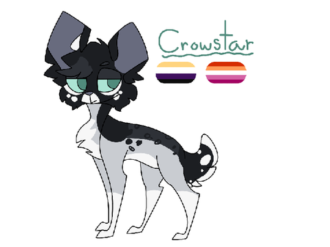 crowstar - rainclan