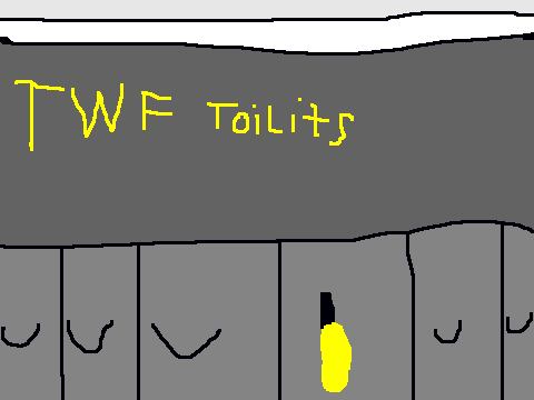 carnl toilits