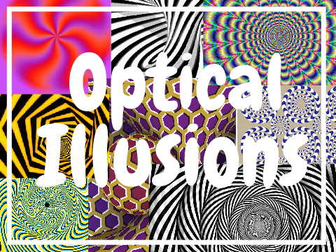 ~Optical Illusions ~