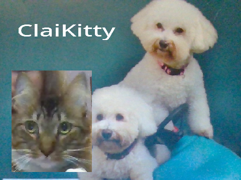 Sign If You Love CATS/DOGS!!