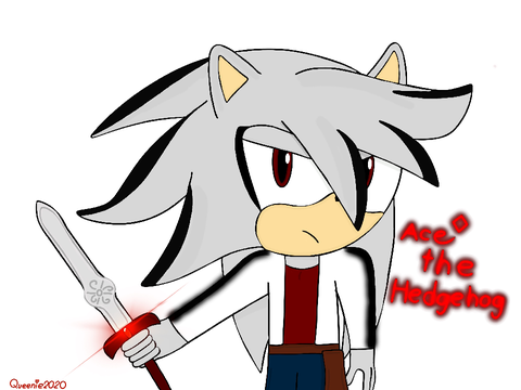 Ace the Hedgehog 