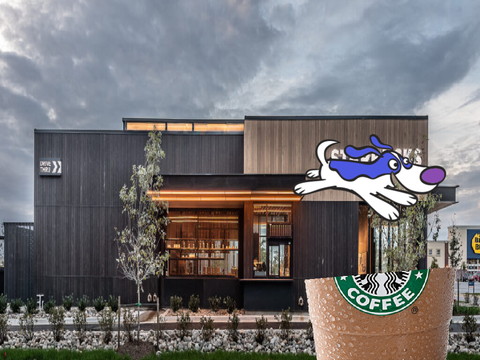 dog eating starbucks