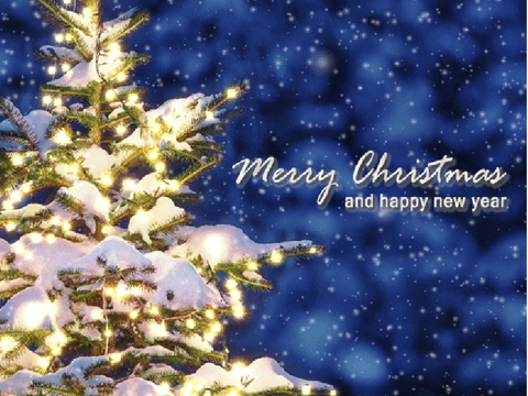 We wish you a Merry Christmas 