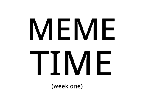 MEME TIME (Week one)