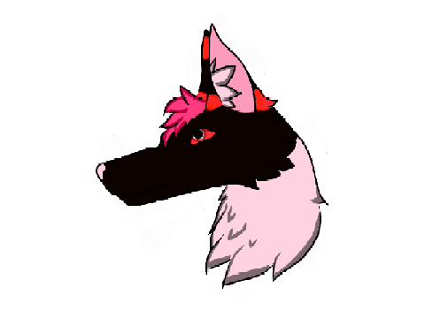 DTAE