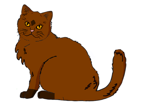  OPEN CC PRIZES 'What Does The Fox Say' Cat remix