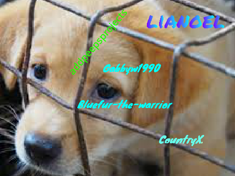 Sign if you care!!!!! PLZ they need your help this winter remix
