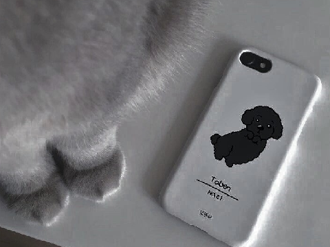 ʚɞ