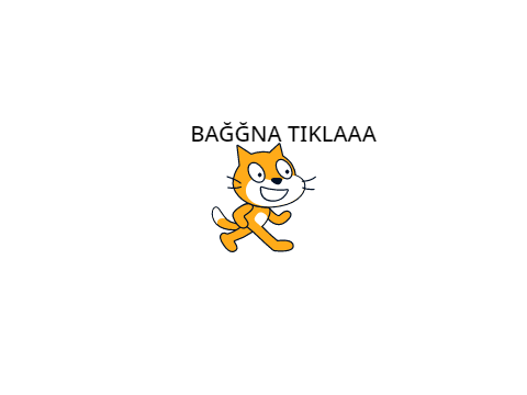Tıklama Yarışı Online