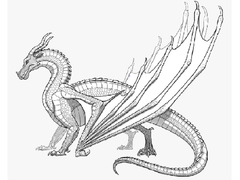 SkyWing Bio (WoF RP)