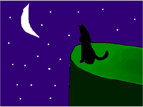 cat silhouette