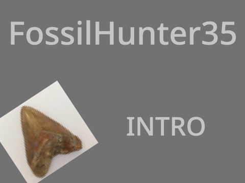 Intro for @Fossilhunter35