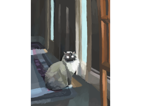 cat (hd)