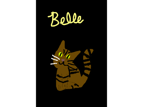 Typical Belle