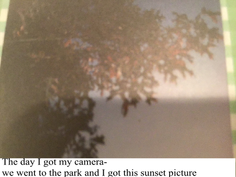Photo Dump