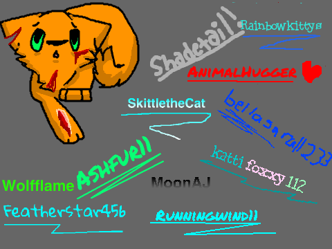 Sign if your against animal abuse!!  remix