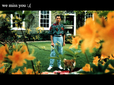 today it is 29 years since freddie mercury died