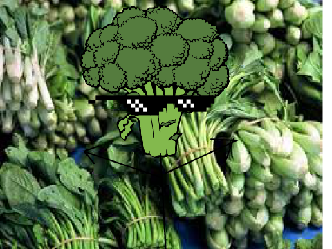 VEGETABLE RAP