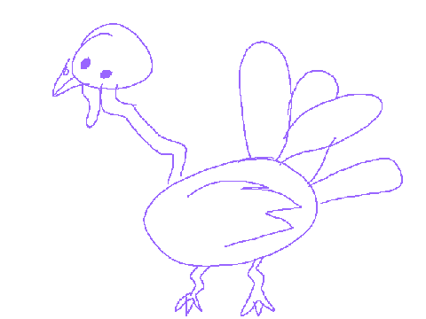 turkey