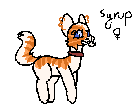 Syrup - TFCRP - 