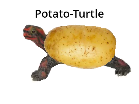 Potato-Turtle