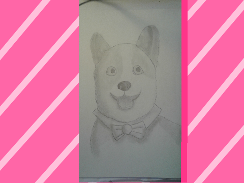 Two animals I drew only using pencil