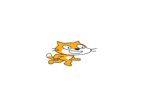 wide cat walking