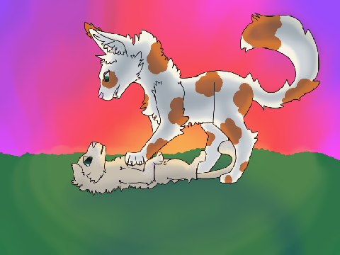 Sunclan - A cursed Rp - Gift 