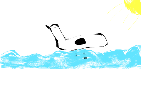 A random "Shetchy Duck"