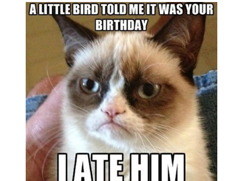 LOL cat memes