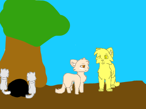ClanCamp 3