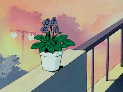 violet sunset