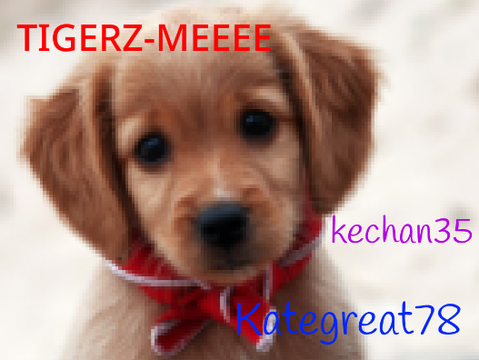Stop animal abuse!!!!! Sign if you care :) remix remix