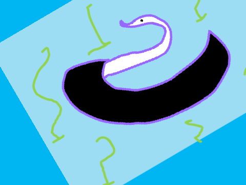 a swan